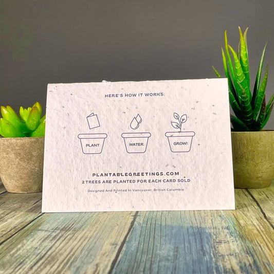 Plantable Greetings Card - Buffalo