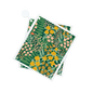 Papaya Dish Cloth Secret Garden
