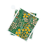 Papaya Dish Cloth Secret Garden