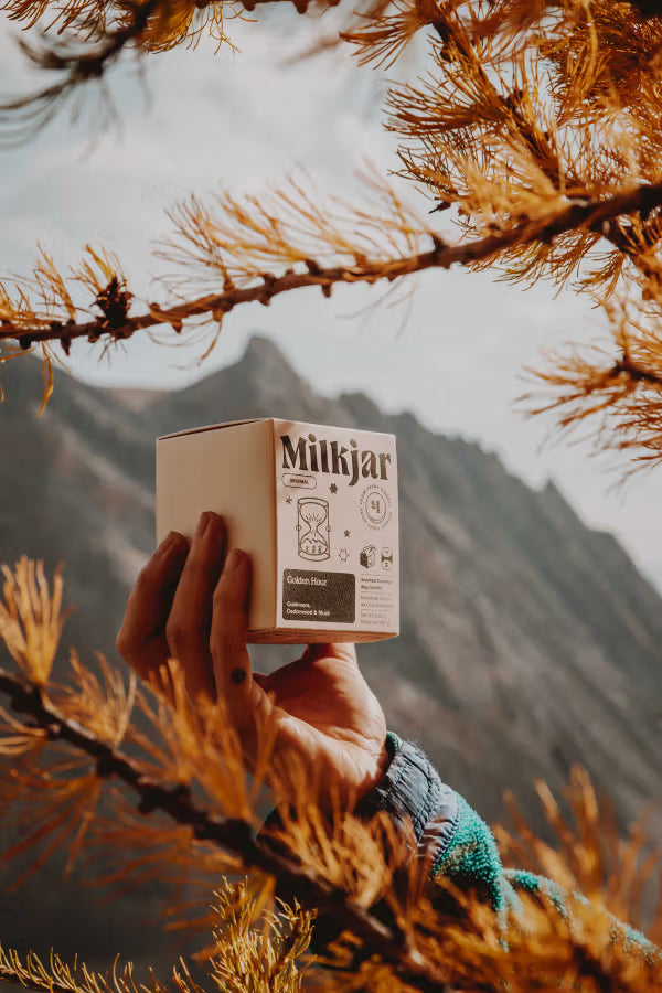 Milk Jar Candle 8oz Golden Hour - Cashmere, Cedarwood Coconut