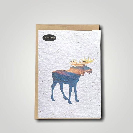 Plantable Greetings Card - Moose