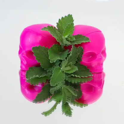 Rebels Refinery Hot Pink Skull Lip Balm - Mint