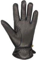 Auclair Sportster Glove - Black