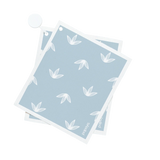 Papaya Dish Cloth Baby Blue