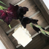 SOAK Bath Co Aloe Vera Soap Bar