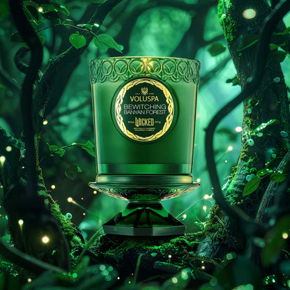 Voluspa Boxed Candle 8.5oz - Bewitching Banyan Forest