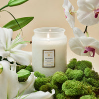 Voluspa Candle 18oz Lg Jar - Mokara Orchid