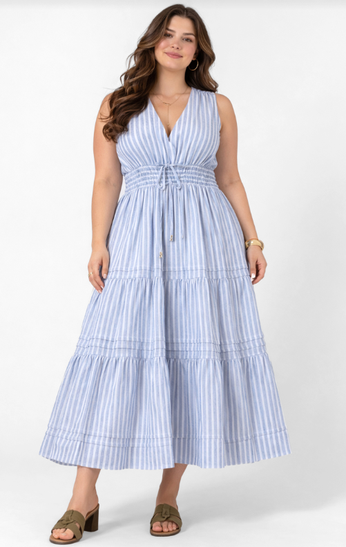 Dex Plus Pleat Detail Smocked Waist Dress - Chambray Stripe