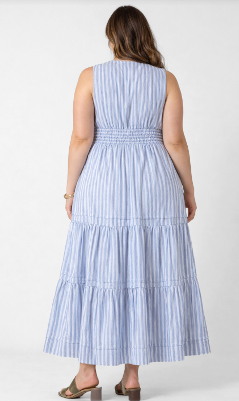Dex Plus Pleat Detail Smocked Waist Dress - Chambray Stripe