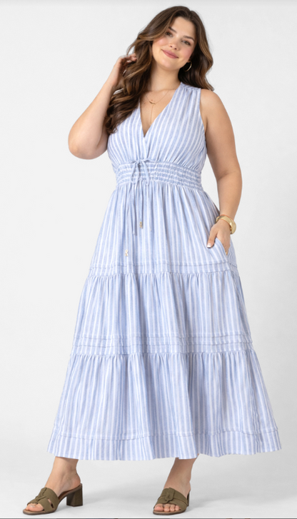 Dex Plus Pleat Detail Smocked Waist Dress - Chambray Stripe