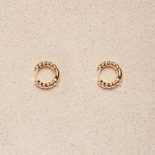 Tish Jewelry Evie Earrings - Twisted Huggie Hoops
