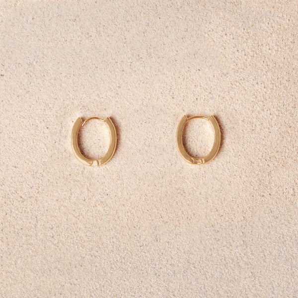 Tish Jewelry Trina Earrings - Flat Oval Hoops