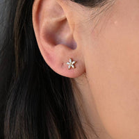 Blueyejewelry Marquise Flower Studs - Yellow Gold