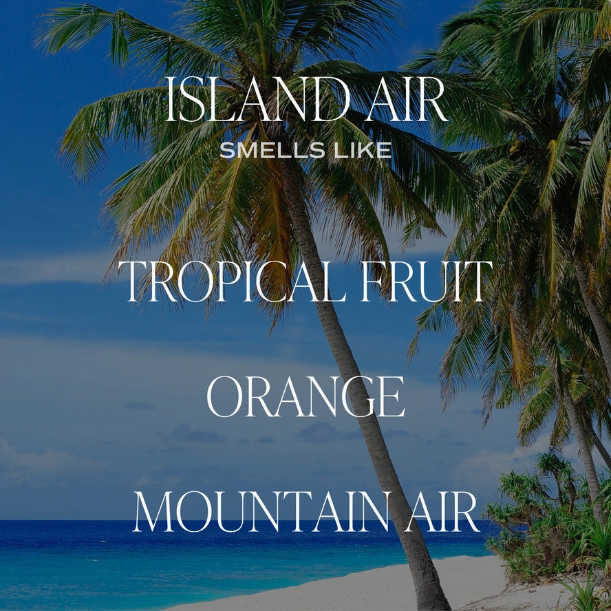 Sweet Water Decor Hanging Air Freshener - Island Air
