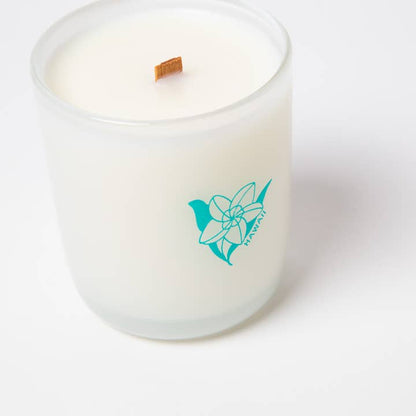 Milk Jar Coconut Soy 8oz Candle Hawaii - Plumeria & Lilac