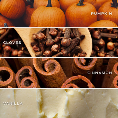 Sweet Water Decor 12 oz Candle - Pumpkin Spice