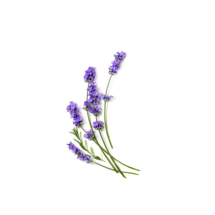 Rebels Refinery Hand Sanitizer Lavender & Eucalyptus