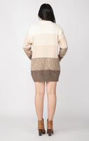 Dex Colorblock Sweater Dress - Neutral Colorblock