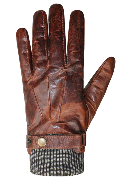 AUCLAIR Gloves Tan Luke